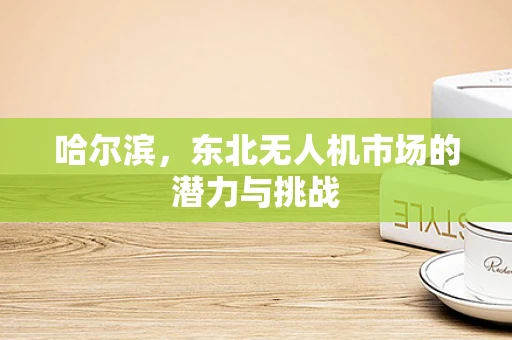 哈尔滨，东北无人机市场的潜力与挑战