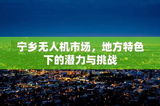 宁乡无人机市场，地方特色下的潜力与挑战