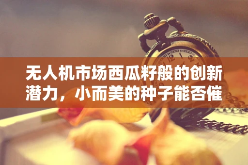 无人机市场西瓜籽般的创新潜力，小而美的种子能否催生大变革？