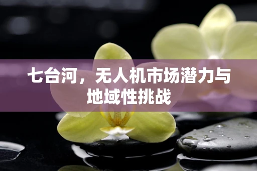 七台河，无人机市场潜力与地域性挑战