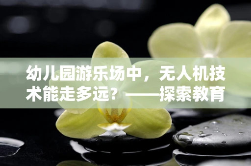 幼儿园游乐场中，无人机技术能走多远？——探索教育娱乐新边界