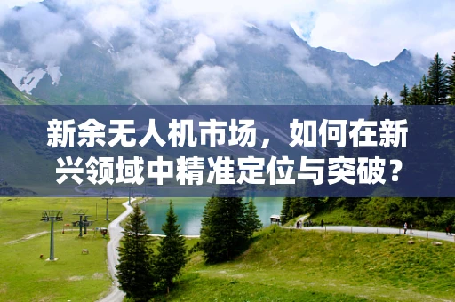 新余无人机市场，如何在新兴领域中精准定位与突破？
