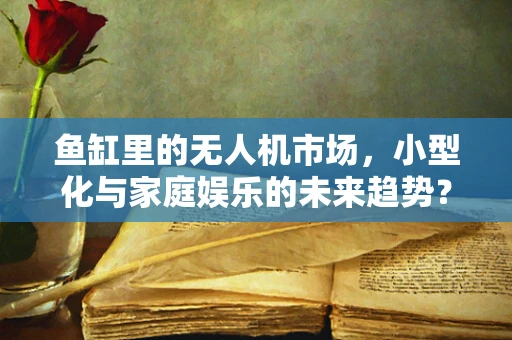 鱼缸里的无人机市场，小型化与家庭娱乐的未来趋势？