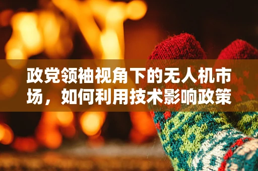 政党领袖视角下的无人机市场，如何利用技术影响政策与安全？
