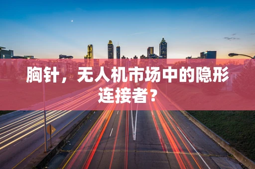 胸针，无人机市场中的隐形连接者？