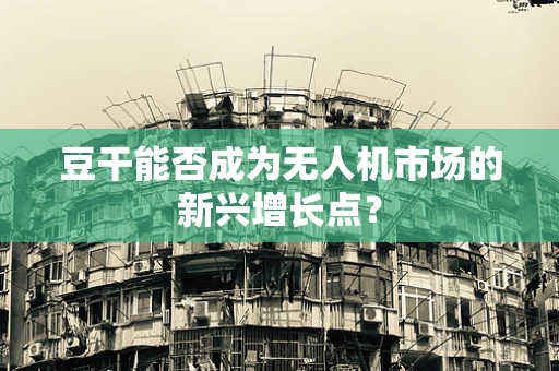 豆干能否成为无人机市场的新兴增长点？