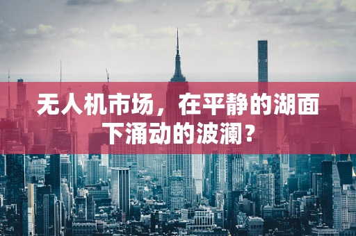 无人机市场，在平静的湖面下涌动的波澜？