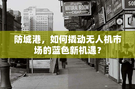 防城港，如何撬动无人机市场的蓝色新机遇？
