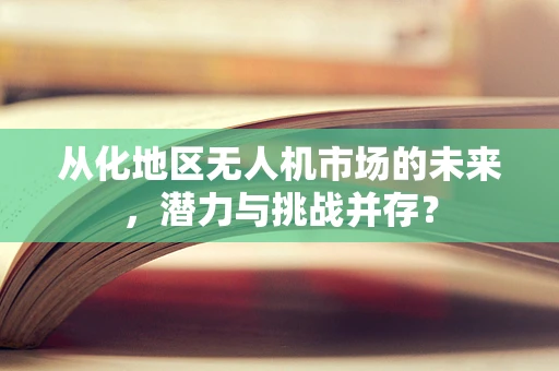 从化地区无人机市场的未来，潜力与挑战并存？