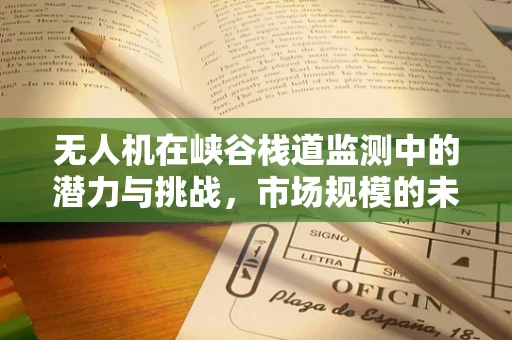 无人机在峡谷栈道监测中的潜力与挑战，市场规模的未解之谜