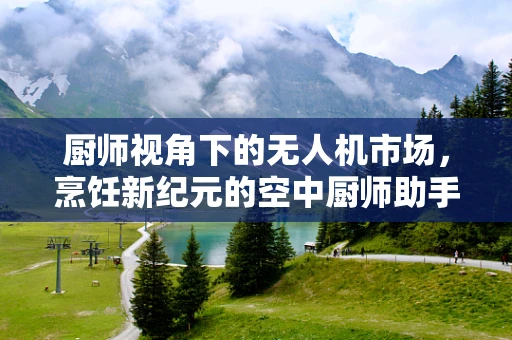 厨师视角下的无人机市场，烹饪新纪元的空中厨师助手？