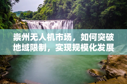 崇州无人机市场，如何突破地域限制，实现规模化发展？