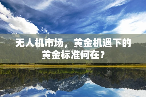 无人机市场，黄金机遇下的黄金标准何在？
