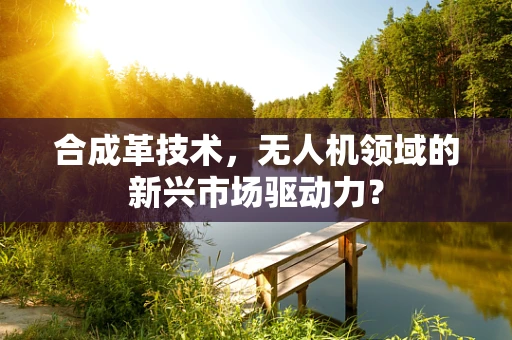 合成革技术，无人机领域的新兴市场驱动力？