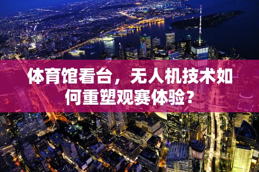 体育馆看台，无人机技术如何重塑观赛体验？