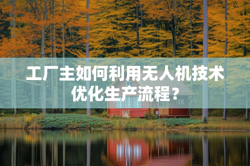 工厂主如何利用无人机技术优化生产流程？