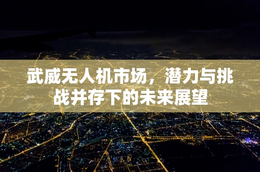 武威无人机市场，潜力与挑战并存下的未来展望