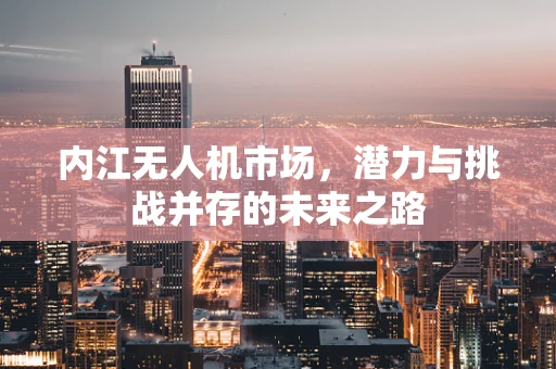 内江无人机市场，潜力与挑战并存的未来之路