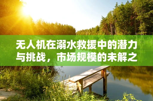 无人机在溺水救援中的潜力与挑战，市场规模的未解之谜