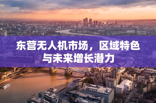东营无人机市场，区域特色与未来增长潜力