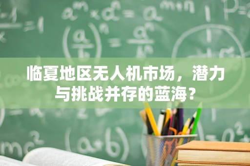 临夏地区无人机市场，潜力与挑战并存的蓝海？