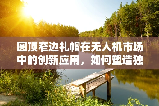 圆顶窄边礼帽在无人机市场中的创新应用，如何塑造独特市场定位？