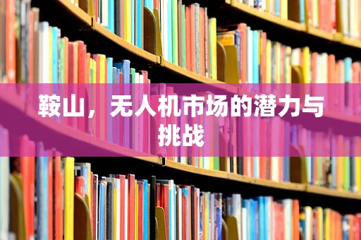 鞍山，无人机市场的潜力与挑战