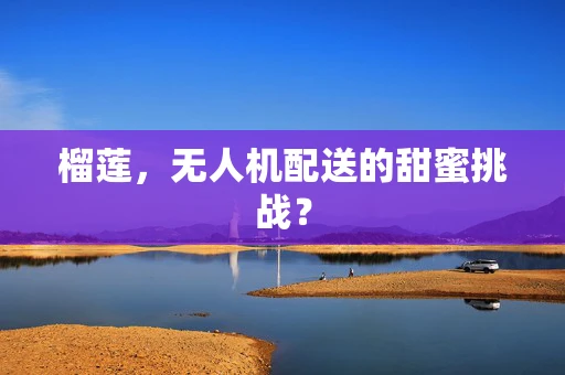 榴莲，无人机配送的甜蜜挑战？
