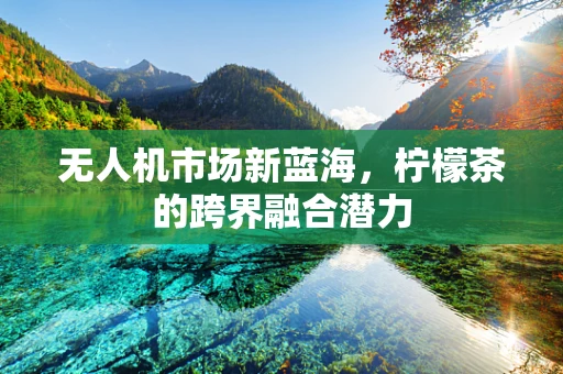 无人机市场新蓝海，柠檬茶的跨界融合潜力