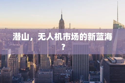 潜山，无人机市场的新蓝海？