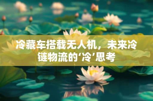 冷藏车搭载无人机，未来冷链物流的‘冷’思考
