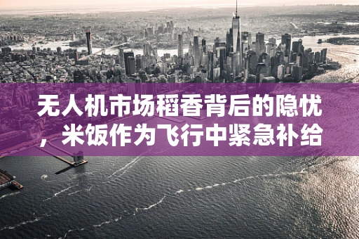 无人机市场稻香背后的隐忧，米饭作为飞行中紧急补给的可能性探讨