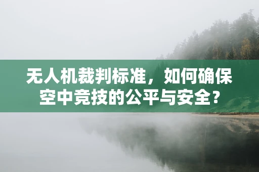 无人机裁判标准，如何确保空中竞技的公平与安全？