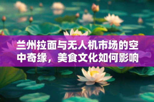 兰州拉面与无人机市场的空中奇缘，美食文化如何影响无人机消费趋势？
