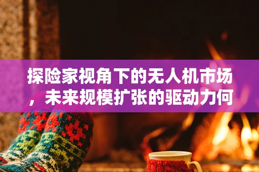 探险家视角下的无人机市场，未来规模扩张的驱动力何在？