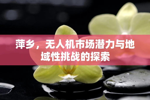 萍乡，无人机市场潜力与地域性挑战的探索