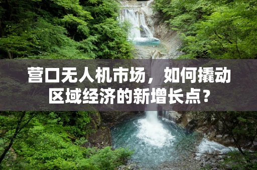 营口无人机市场，如何撬动区域经济的新增长点？