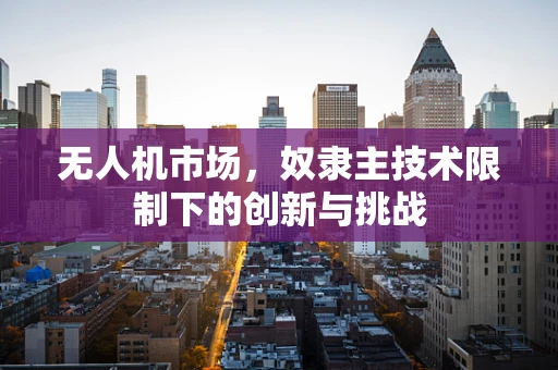 无人机市场，奴隶主技术限制下的创新与挑战
