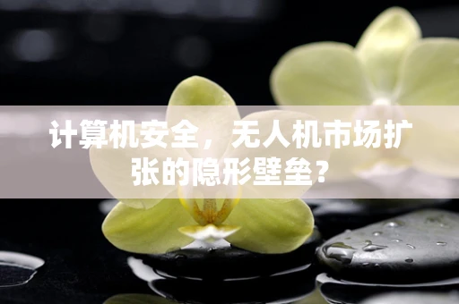 计算机安全，无人机市场扩张的隐形壁垒？