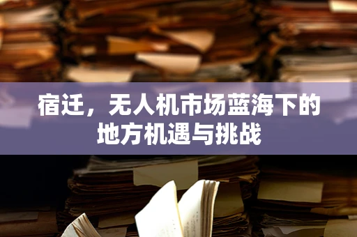 宿迁，无人机市场蓝海下的地方机遇与挑战