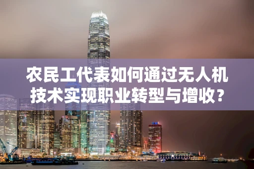 农民工代表如何通过无人机技术实现职业转型与增收？
