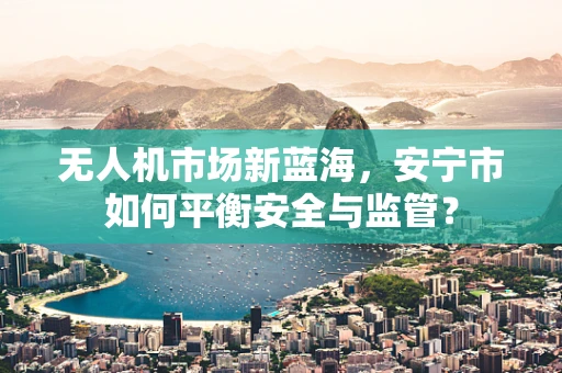 无人机市场新蓝海，安宁市如何平衡安全与监管？