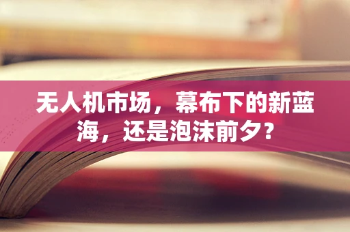 无人机市场，幕布下的新蓝海，还是泡沫前夕？