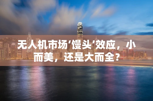 无人机市场‘馒头’效应，小而美，还是大而全？