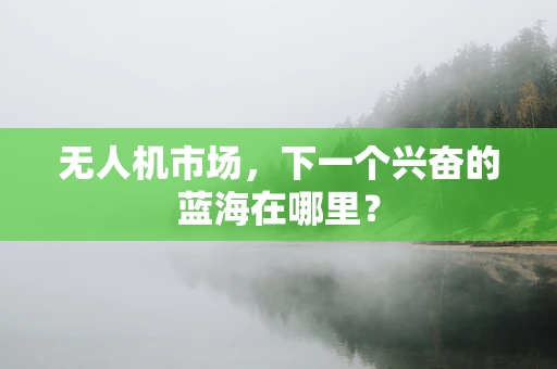 无人机市场，下一个兴奋的蓝海在哪里？