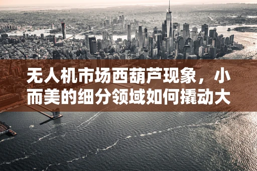 无人机市场西葫芦现象，小而美的细分领域如何撬动大未来？