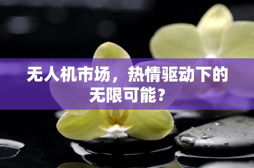 无人机市场，热情驱动下的无限可能？