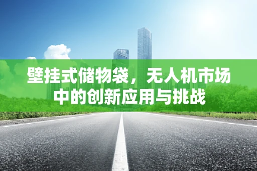 壁挂式储物袋，无人机市场中的创新应用与挑战