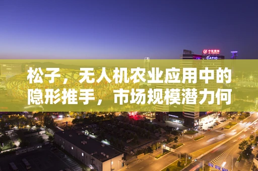 松子，无人机农业应用中的隐形推手，市场规模潜力何在？
