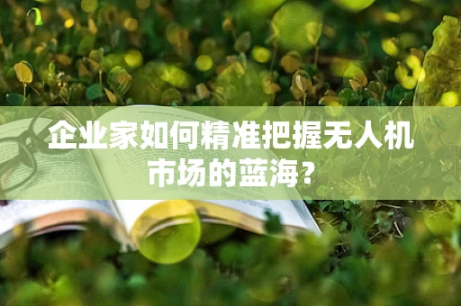 企业家如何精准把握无人机市场的蓝海？